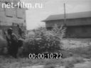 Кадр видео