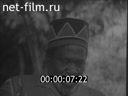 Кадр видео