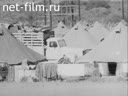 Foreign newsreels №4434