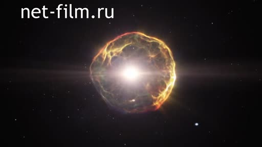 Newsreel space environment №219 30.01.2019. (2019)
