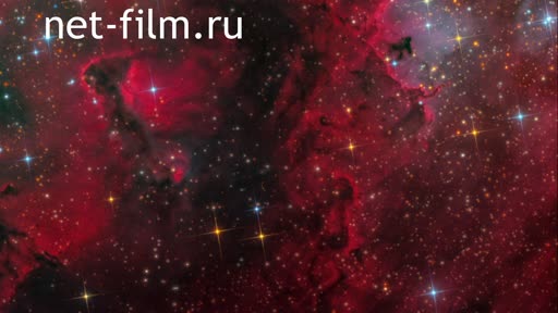 Telecast space environment (2018 №214) 12.12.2018.