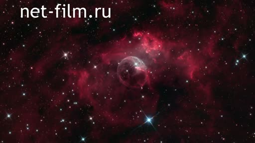 Telecast space environment (2019 №229) 10.04.2019.