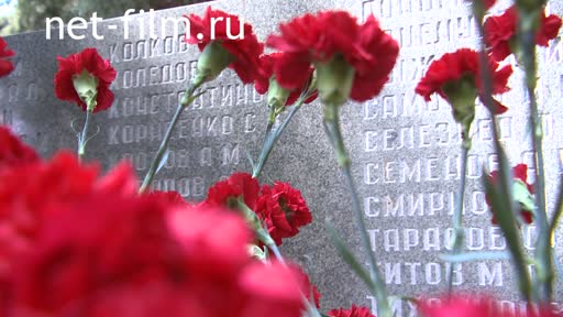 Telecast space environment (2019 №233) 08.05.2019.