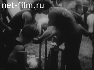 Новости Зарубежные киносюжеты №2354 (1970)