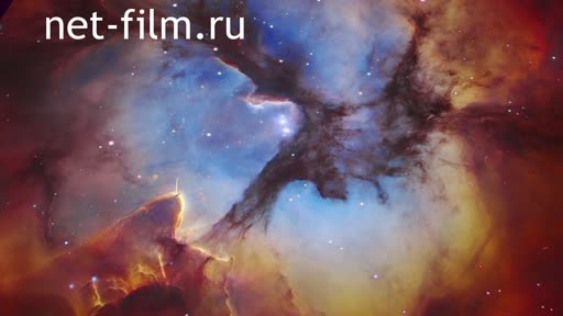 Telecast space environment (2020 №305) 11.11.2020.