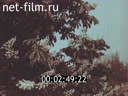 Footage frame