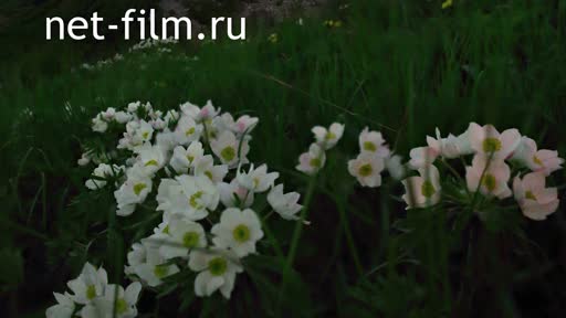 Telecast space environment (2021 №336) 14.07.2021.