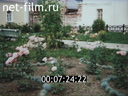 Footage frame