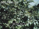 Footage frame