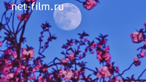 Telecast space environment (2021 №328) 05.05.2021.