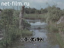 Footage frame