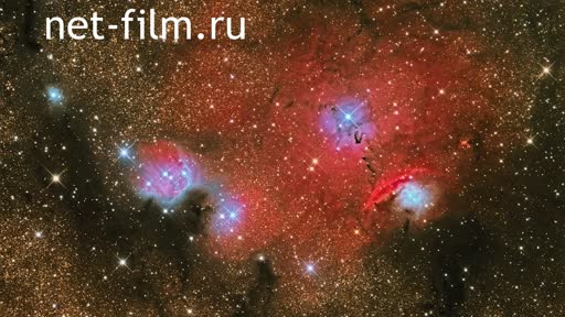 Telecast space environment (2021 №349) 13.10.2021.