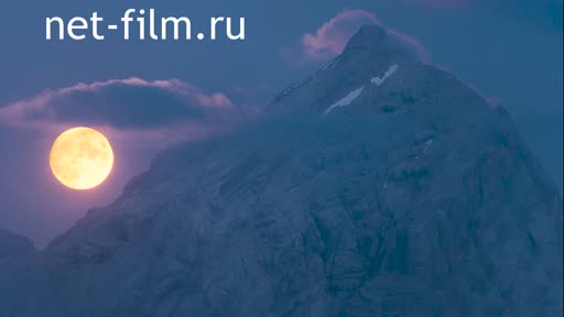 Telecast space environment (2021 №343) 01.09.2021.