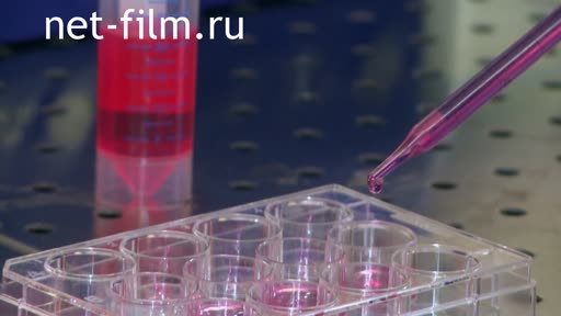 Footage Cosmonautics. Life in outer space. (2015)