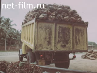 Footage Oil production in Africa. (1975-1987)