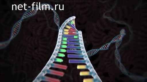 Footage Cosmonautics. The cure for weightlessness. (2018)