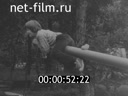 Кадр видео