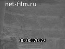 Foreign newsreels №6671