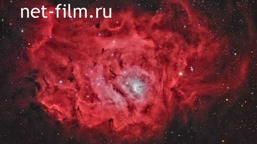 Telecast big space (2021 №8) 13.03.2021.