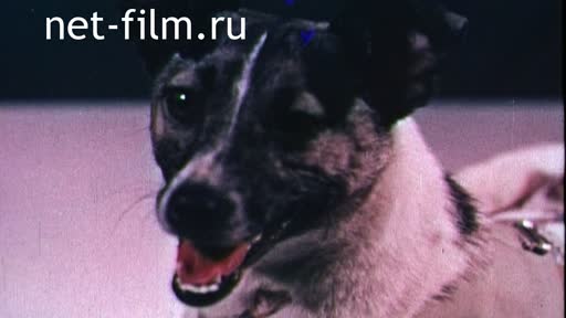 Footage Cosmonautics. Like in the Universe. (2017)