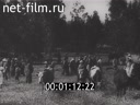 Кадр видео