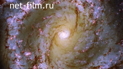 Telecast big space (2022 №61) 08.04.2022.