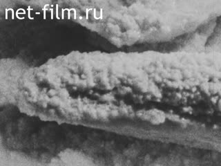 News Foreign newsreels №6399 (1980)