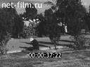 Footage frame