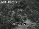 Footage frame