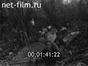 Кадр видео