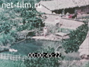 Footage frame