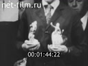 Кадр видео