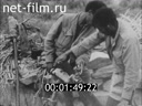 Foreign newsreels №5162