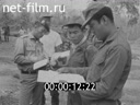 Кадр видео