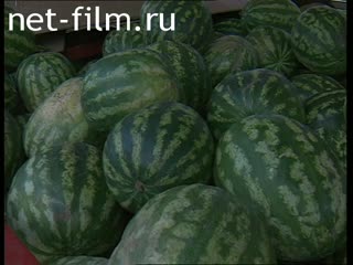 Telecast Highway Patrol (2000 №1) release from 04/08-05/08.