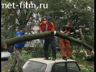 Телепередача Дорожный патруль (2001 №1) выпуск от 16.08.