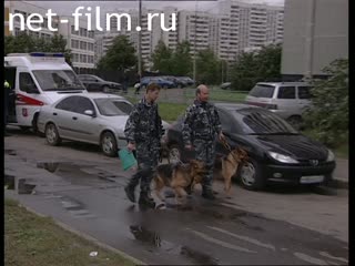 Телепередача Дорожный патруль (2000 №1) выпуск от 31.08-01.09.