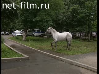 Телепередача Дорожный патруль (2000 №1) выпуск от 05.09.