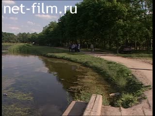 Телепередача Дорожный патруль (1999 №1) выпуск от 26.06-28.06.