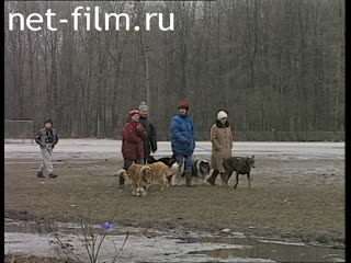 Телепередача Дорожный патруль (1997 №1) сводка за неделю 08.03 - 14.03.