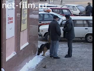 Телепередача Дорожный патруль (1999 №1) сводка за неделю 06.02 - 12.02.