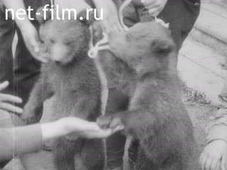 Footage At the Moscow Zoo. (1927)