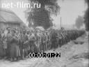 Первая мировая война. На фронте и в тылу