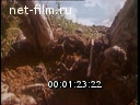 Footage frame