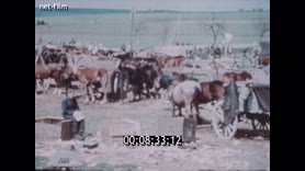 American troops in Germany