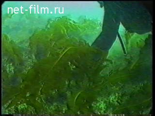 Новости Зарубежные новостные сюжеты №2 (1991)