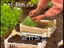 Кадр видео