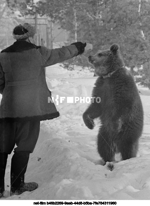 Зообаза Моснаучфильма