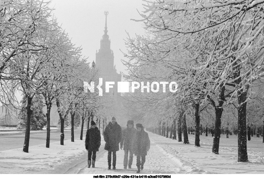 МГУ имени М.В. Ломоносова