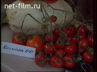 Footage Exhibition vegetables. (1990-1999)